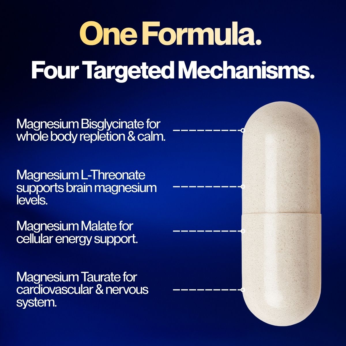 Gold Seal Magnesium™